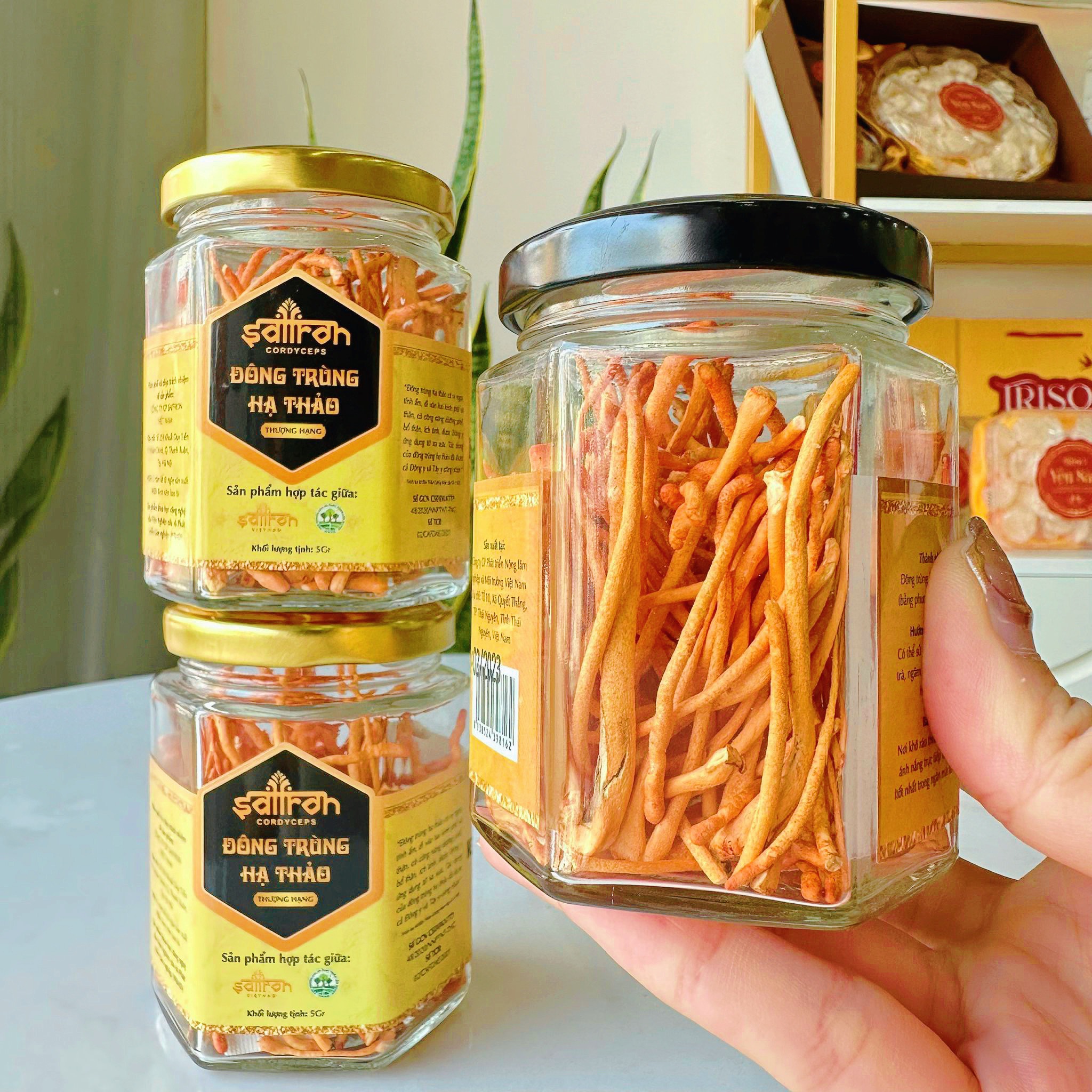 z5277235042502_3499ac44349153cbe0dd51798fe3412a